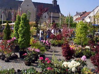 Tervuren flower market