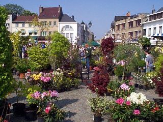 Flower market
